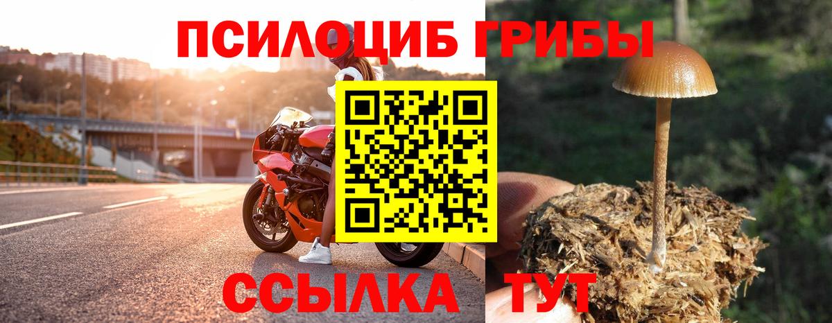 Галлюциногенные грибы ЛСД  Вход с VPN  Красноярск  Псилоцибиновые грибы Psilocybine cubensis 